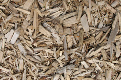 biomass boilers Hafodiwan